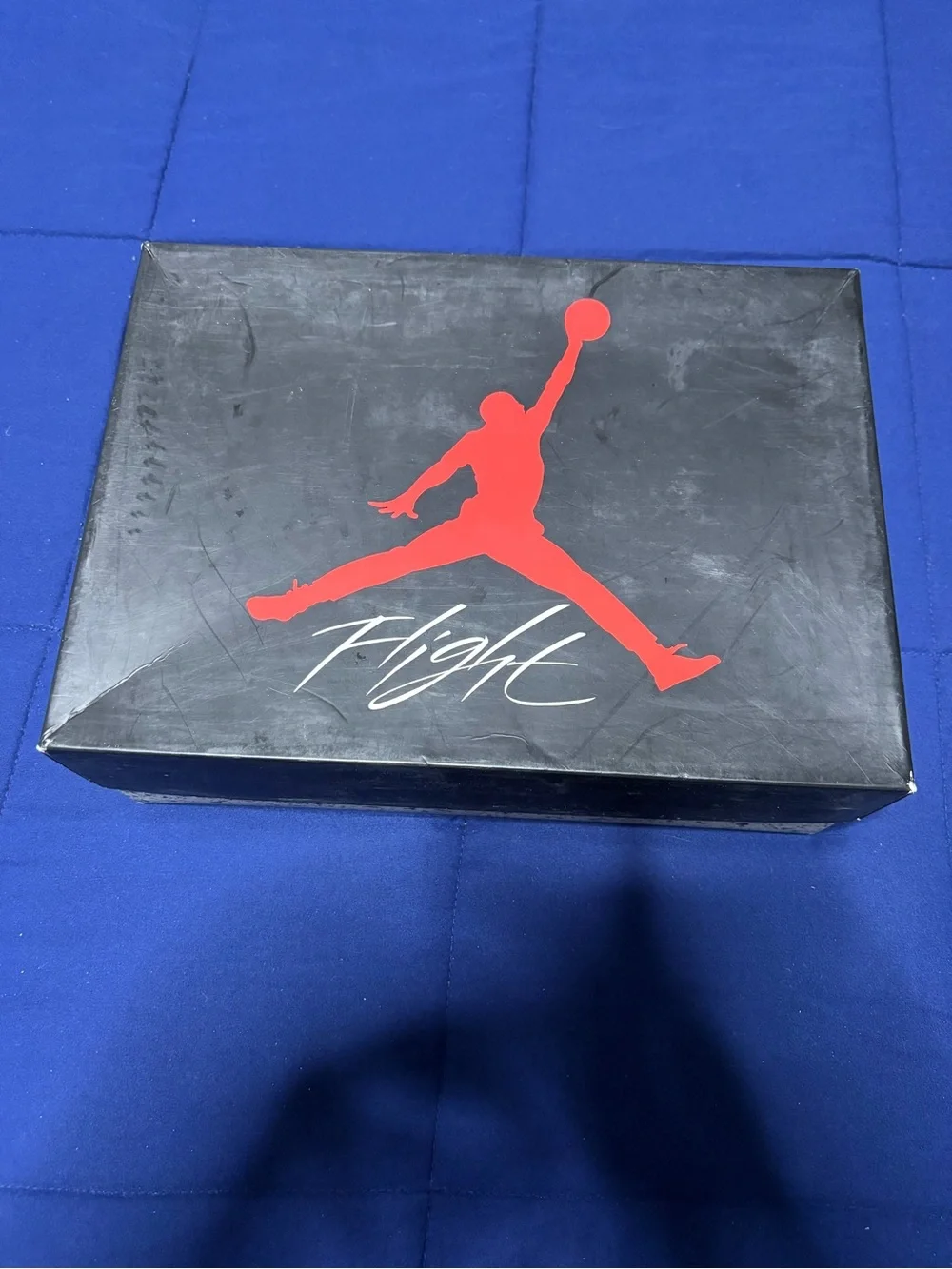 Jordan 4 Retro OG Loyal Blue Size 9